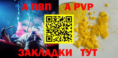 2c-b Кингисепп